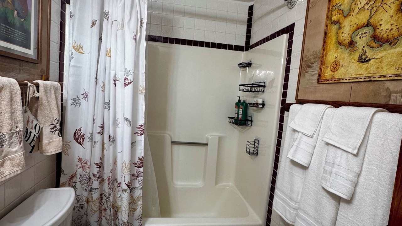 Photo of Bathroom in North Auburn