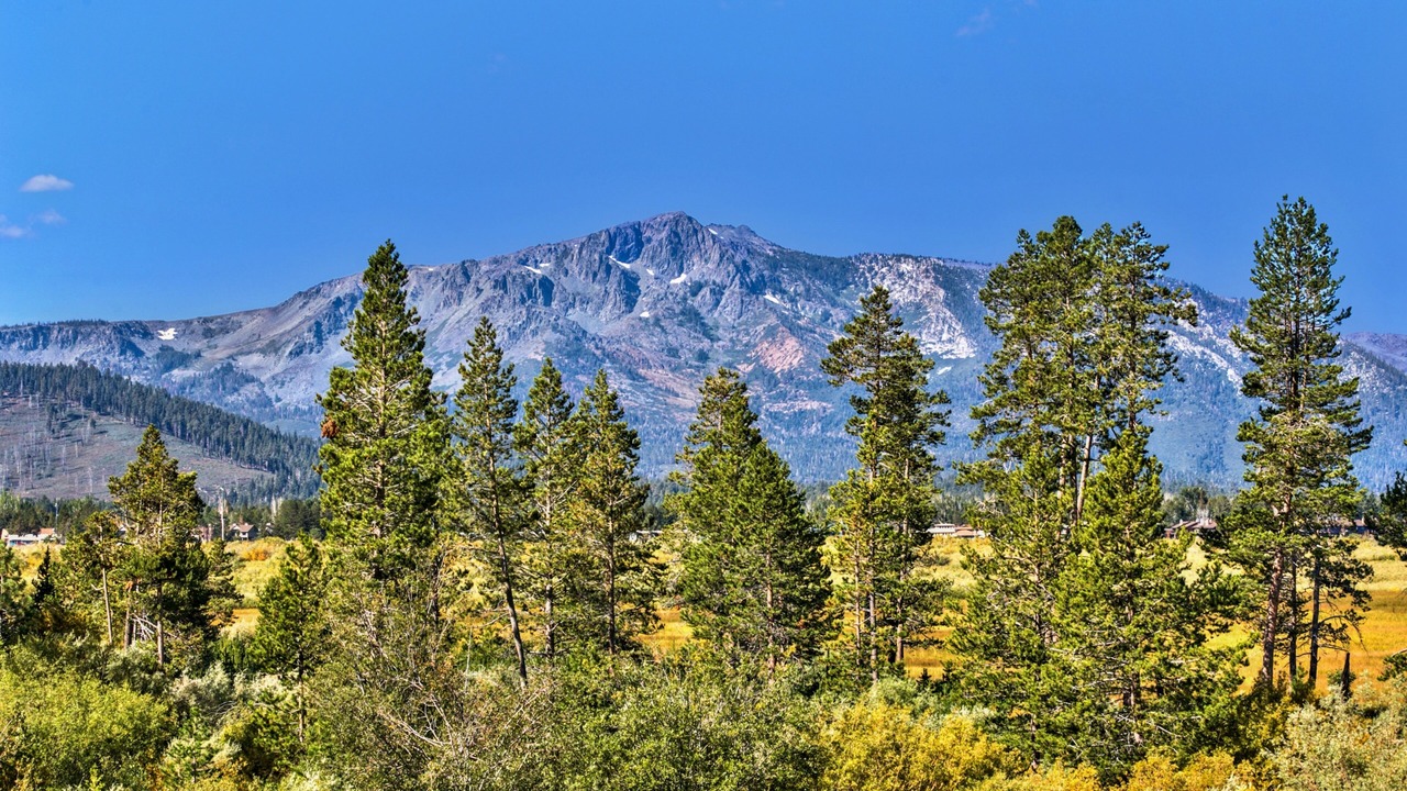 Photo of Others in Al Tahoe