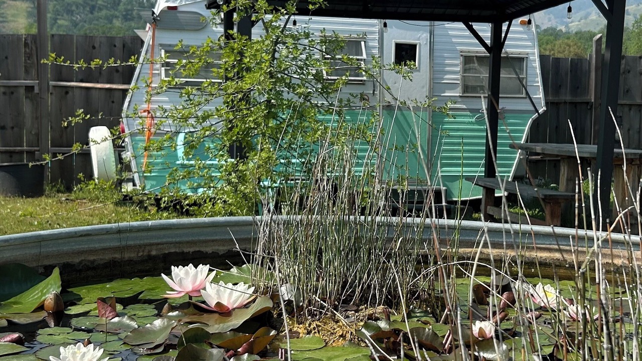 Photo of Outdoor in Dunlap