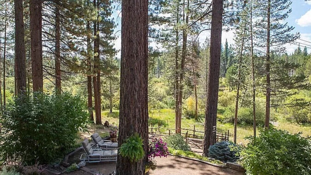 Photo of Outdoor in Black Bart