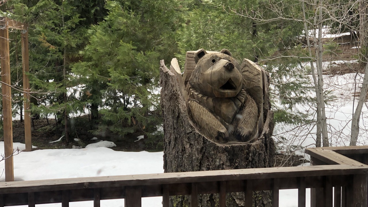Photo of Outdoor in Shaver Lake