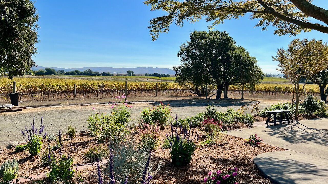 Photo of Outdoor in Napa