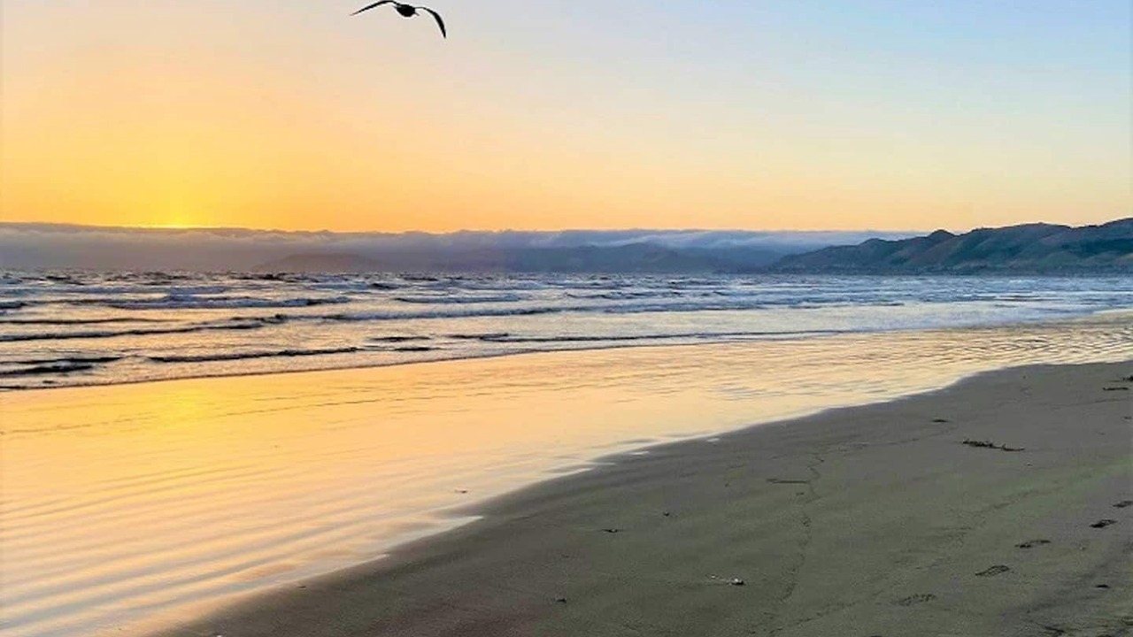Photo of Others in Oceano