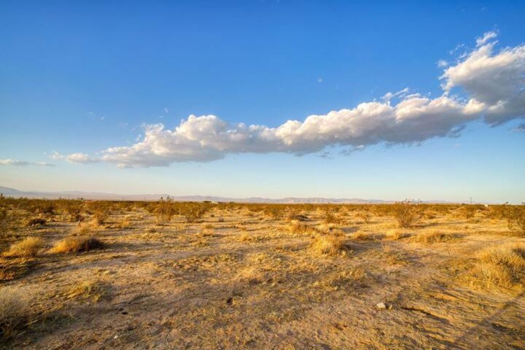Photo of Outdoor in Landers