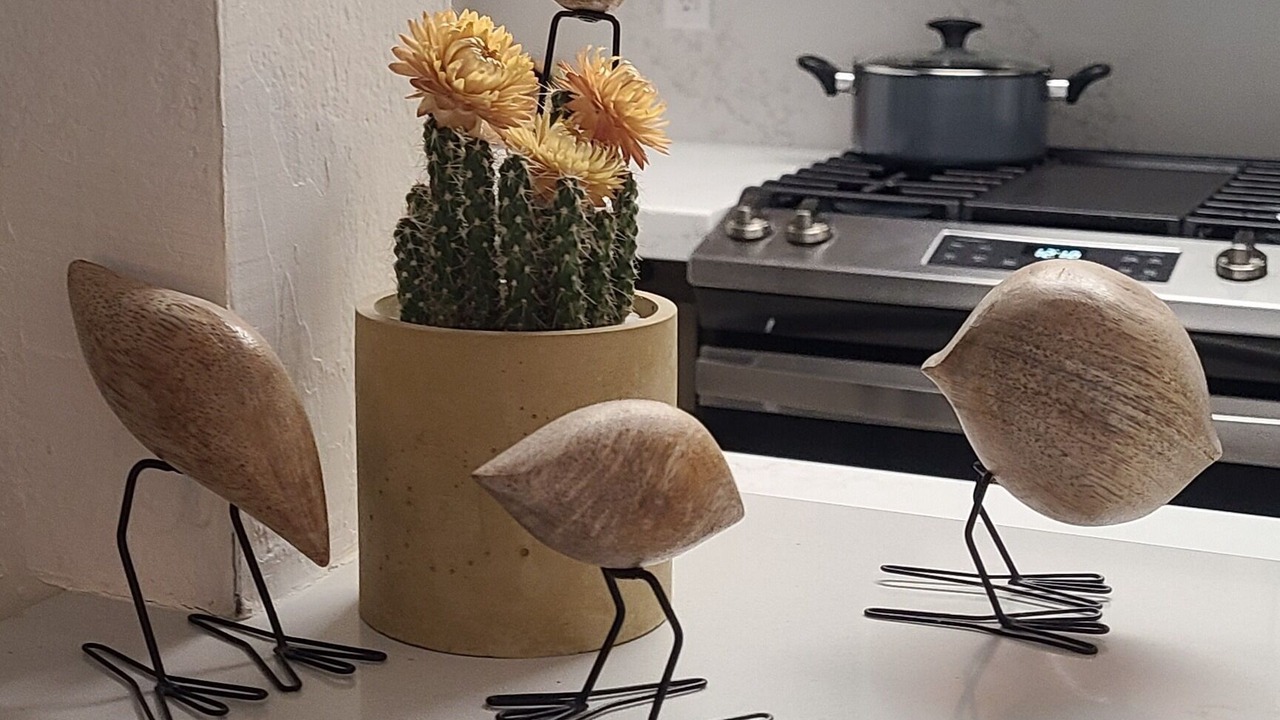Photo of Kitchen in Mission Valley West