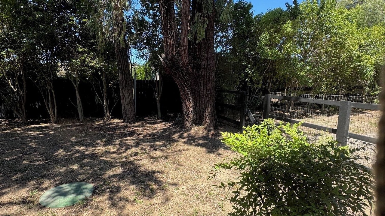 Photo of Outdoor in Solvang