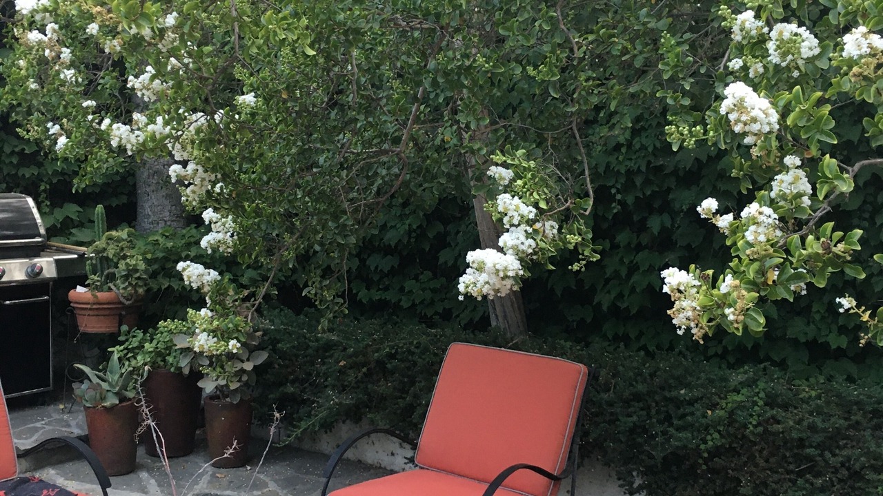Photo of Patio Balcony in Valley Village