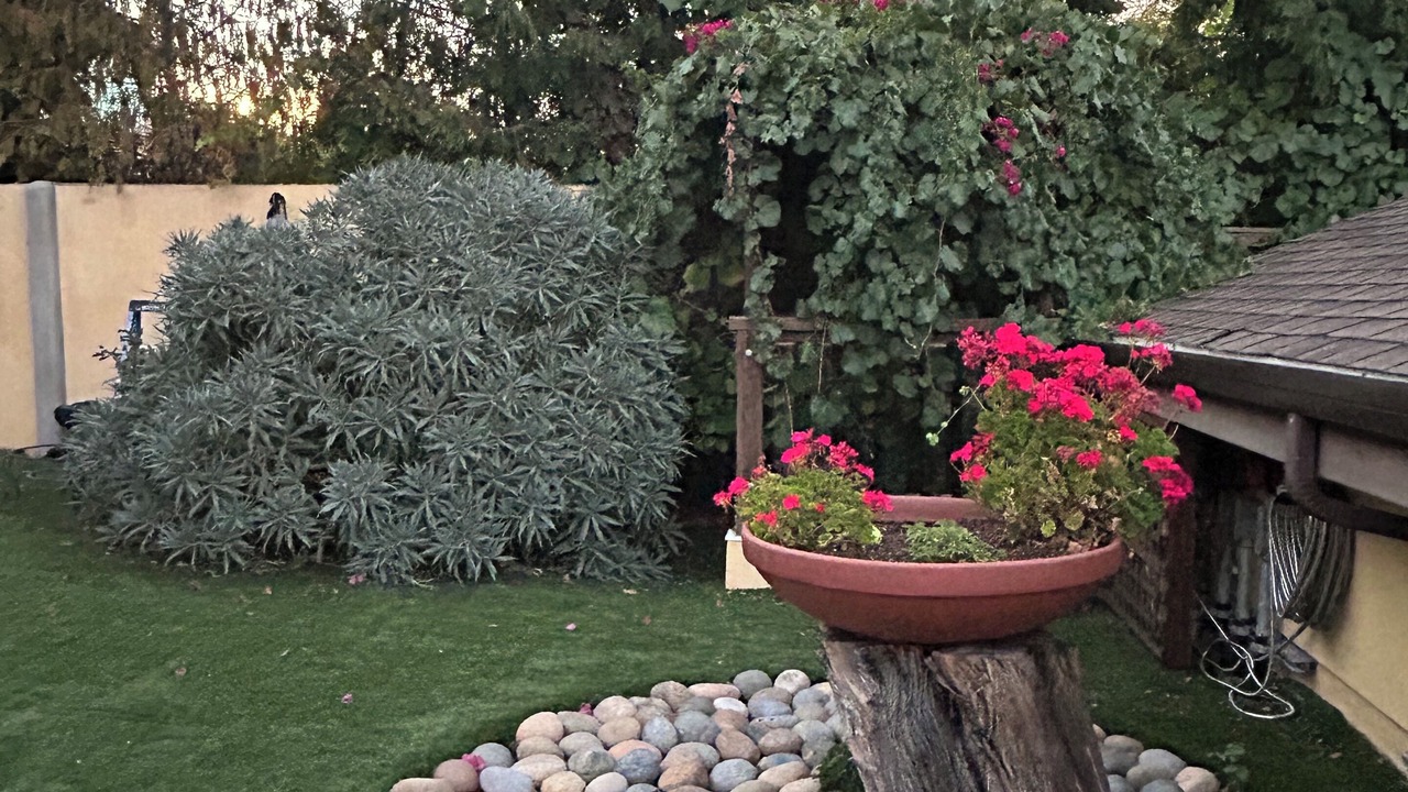Photo of Outdoor in Emerald Hills