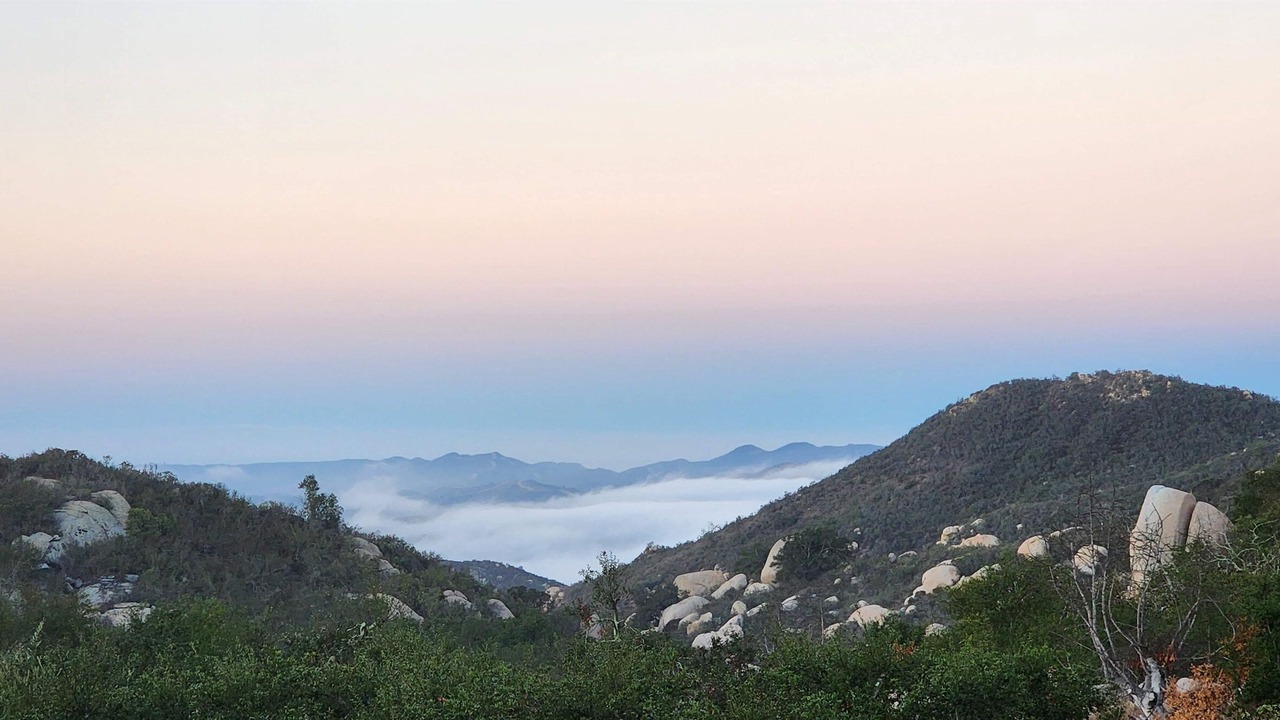 Photo of Others in Fallbrook
