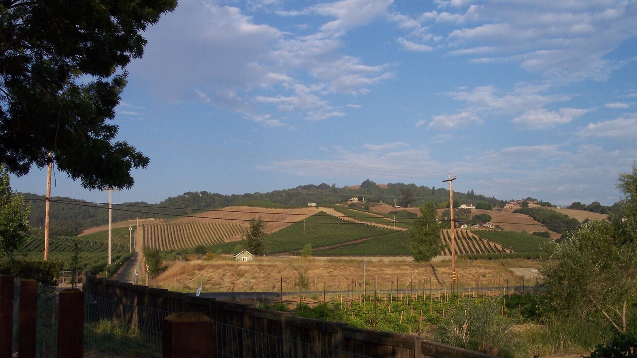 Photo of Others in Napa