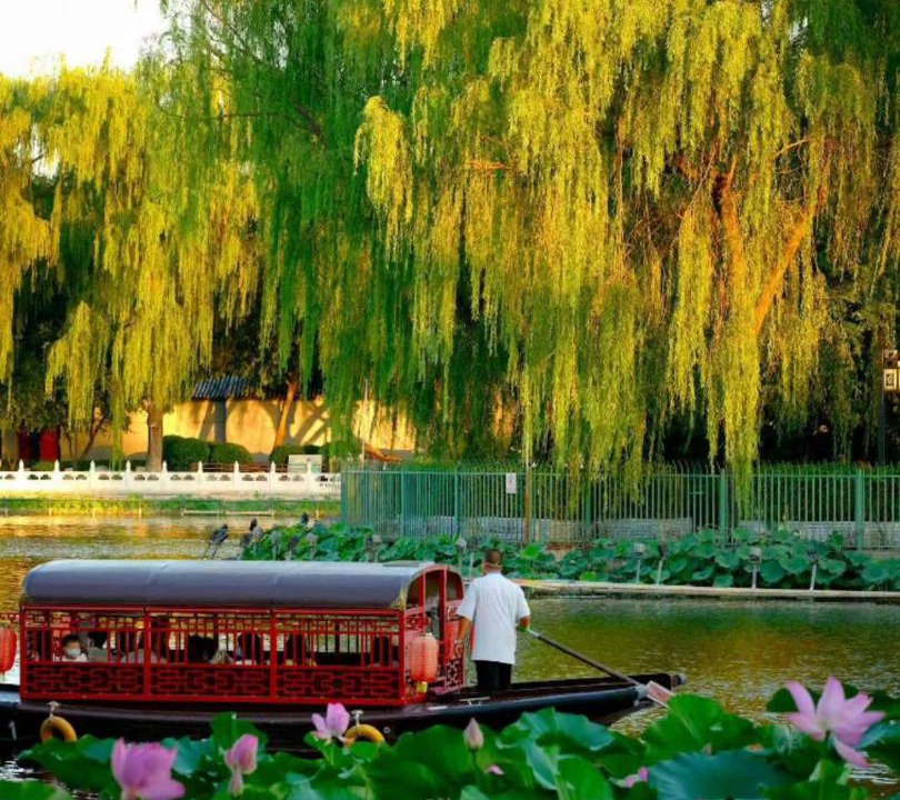 Photo of Others in Xicheng