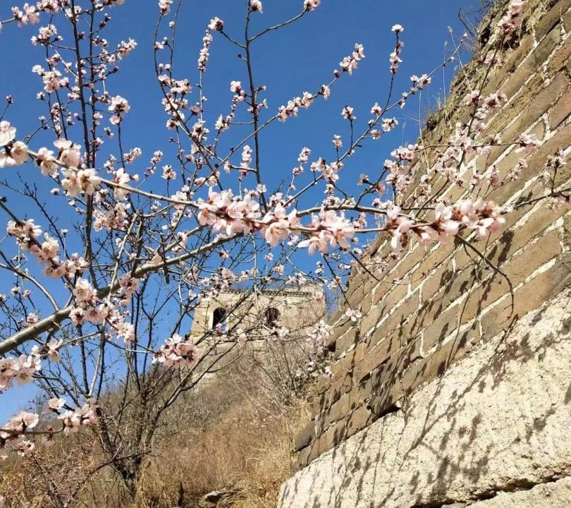 Photo of Others in Huairou