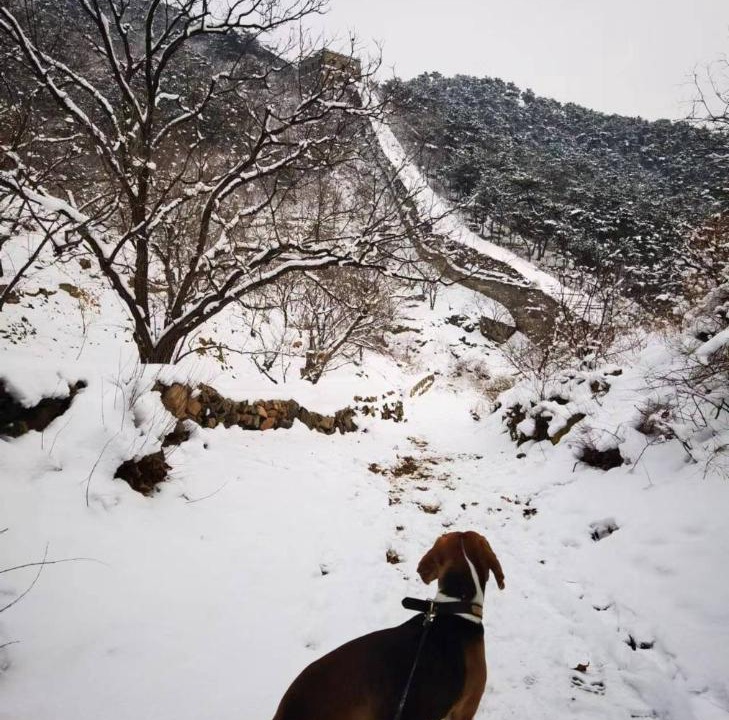 Photo of Others in Huairou