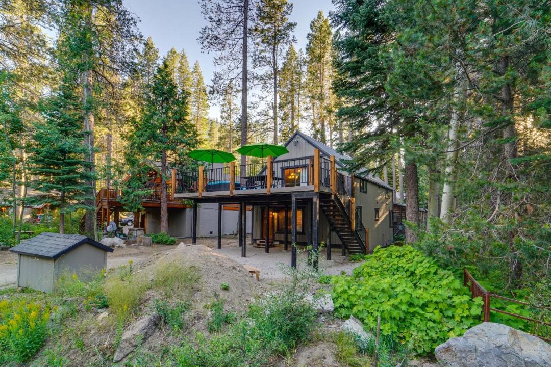 Photo of Others in Donner Lake Woods