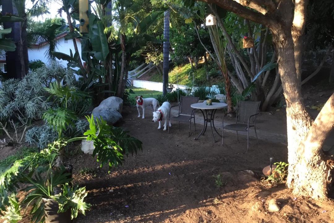 Photo of Others in Fallbrook