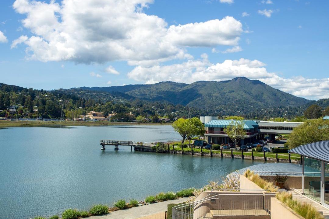 Photo of Others in Mill Valley