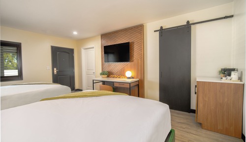 Executive Single Room, 2 Queen Beds, Non Smoking