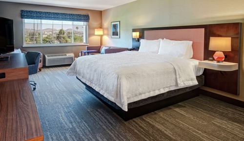 Room, 1 King Bed, Microwave