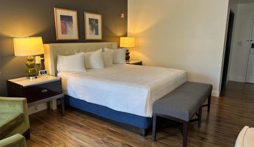 King Room with Mobility/Hearing Access and Roll-In Shower, Non-Smoking