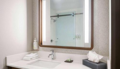1 King Bed, Extended Room, Shower