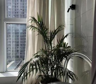 Huainan Apartment | Aisen Apartment Huainan Wanda Plaza Near City Center