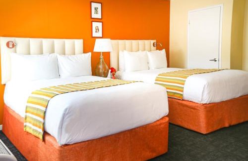 Cow Hollow Hotel | Hotel Del Sol