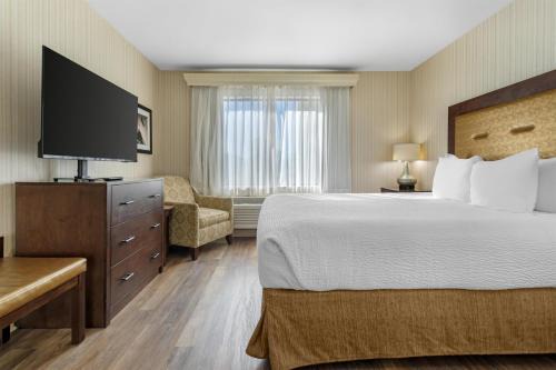 Best Western Plus Big America